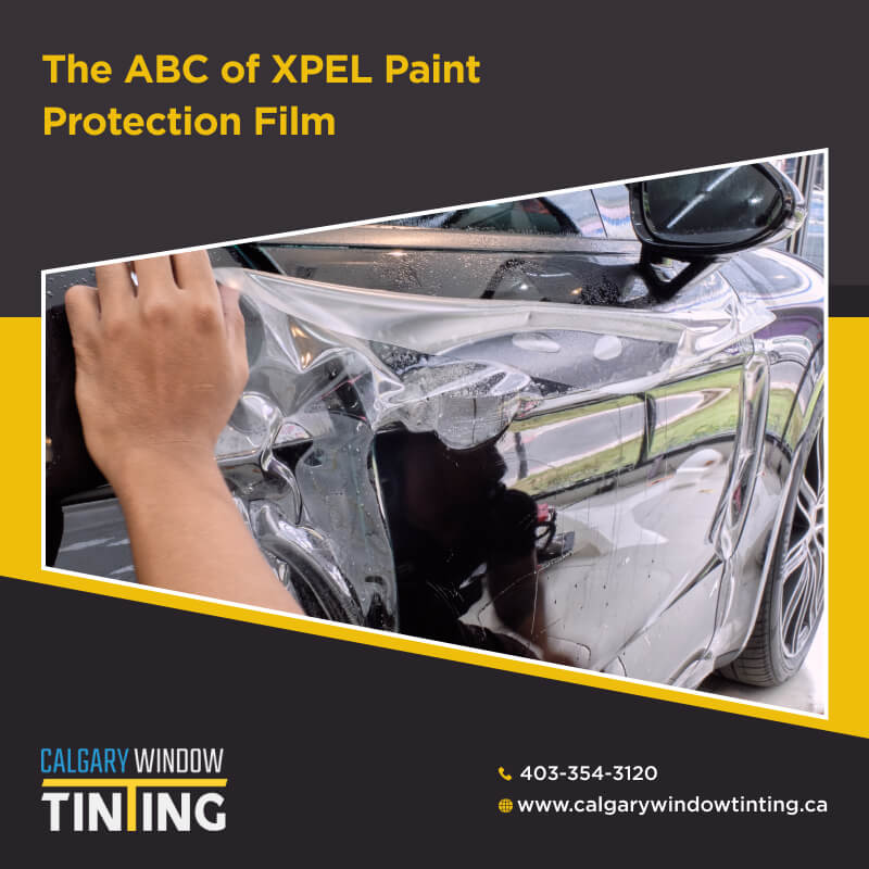 know everything about xpel paint protection film