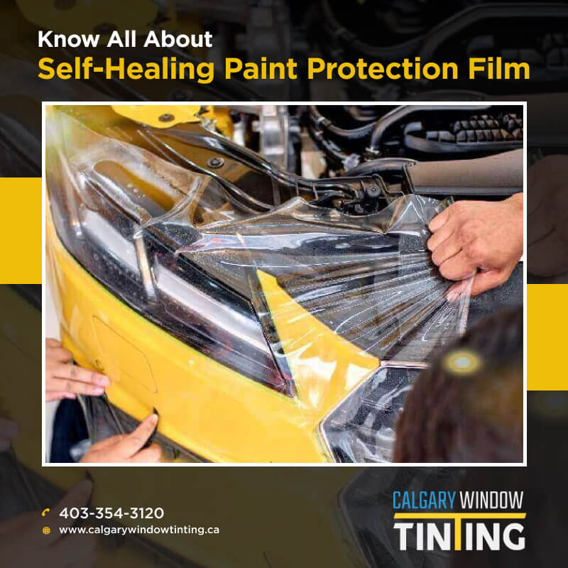 know all about self healing paint protection film