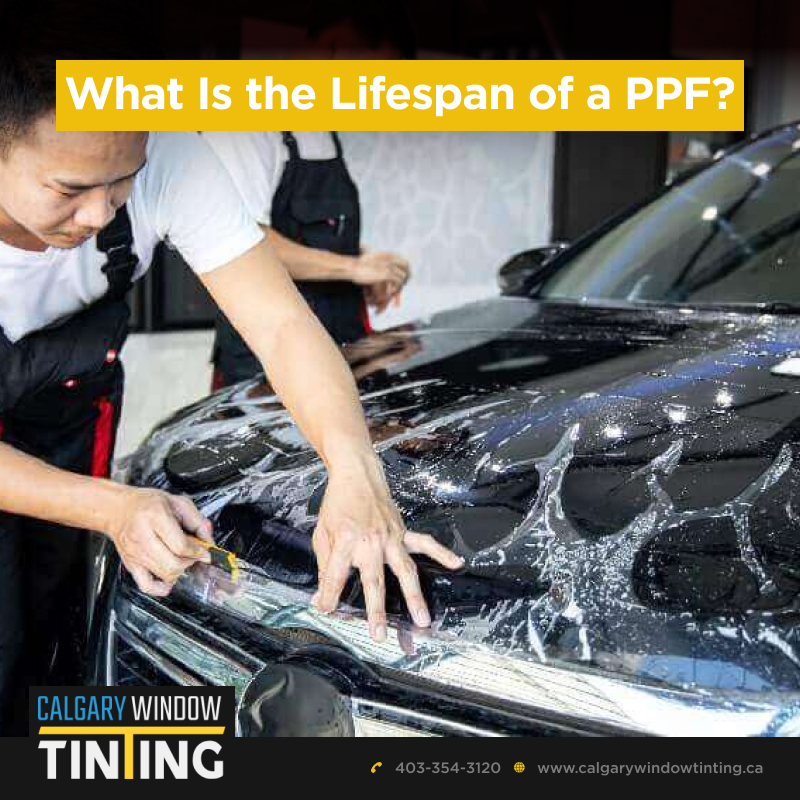 What Is the Lifespan of a PPF?