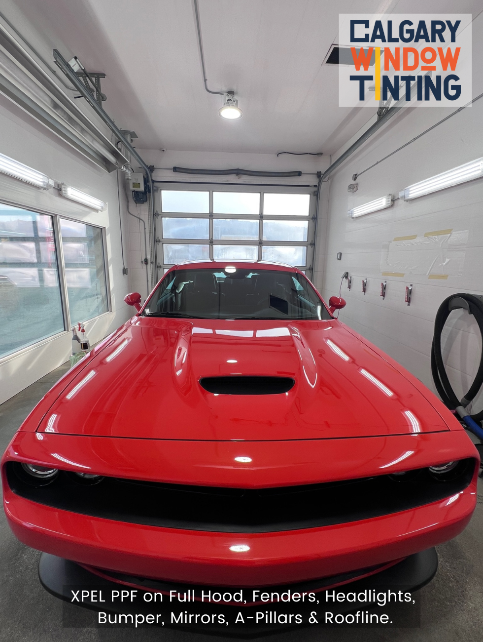 XPEL paint protection film on Dodge Challenger.