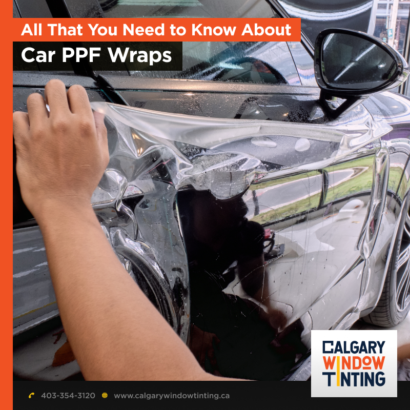 All That You Need to Know About Car PPF Wraps