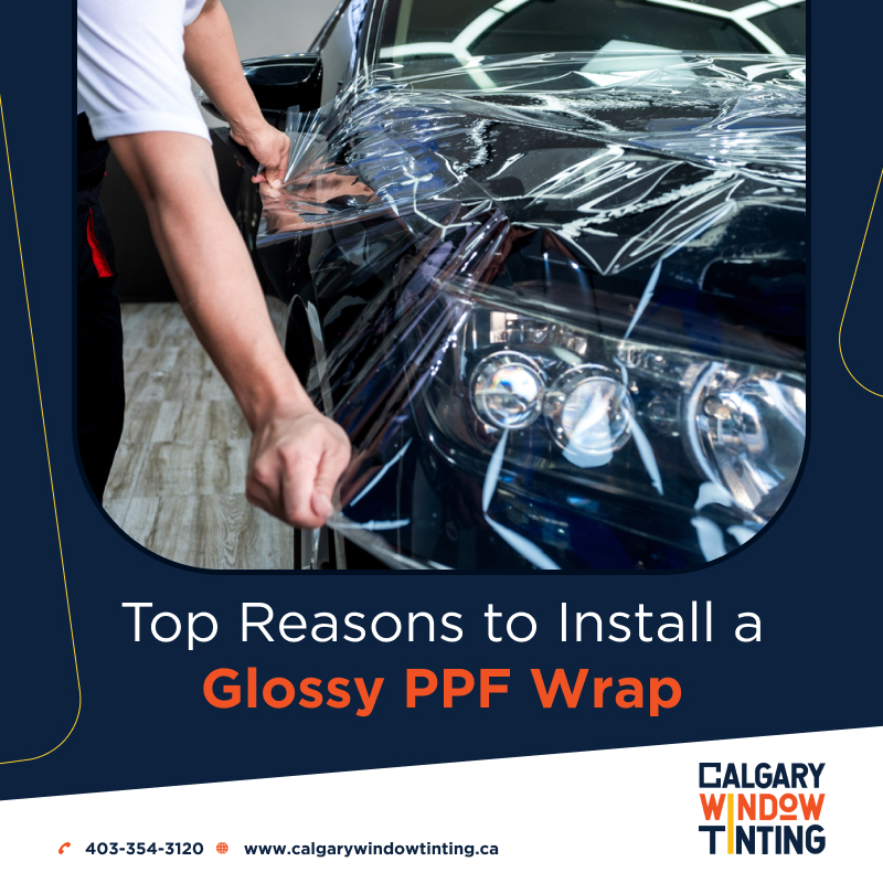 Top Reasons to Install a Glossy PPF Wraps