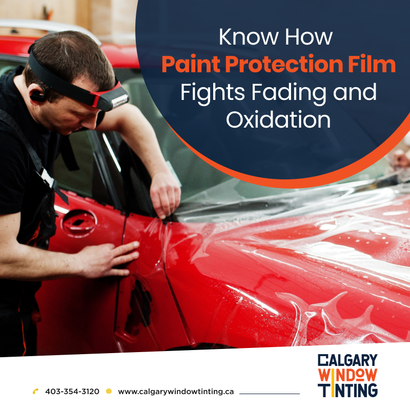 Know How Paint Protection Film Fights Fading and Oxidation