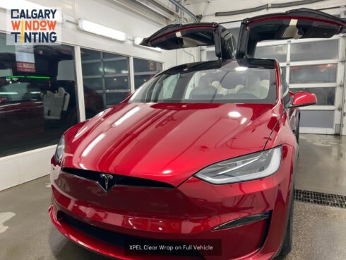 Clear PPF Wrap on Model X in Calgary