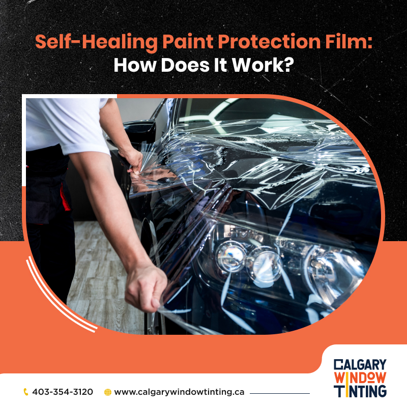 Self-Healing Paint Protection Film: How Does It Work?