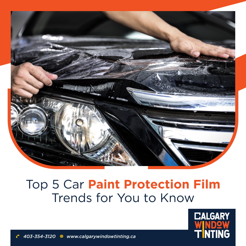 Top 5 Car Paint Protection Film Trends for You to Know