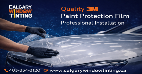 3m paint protection film,